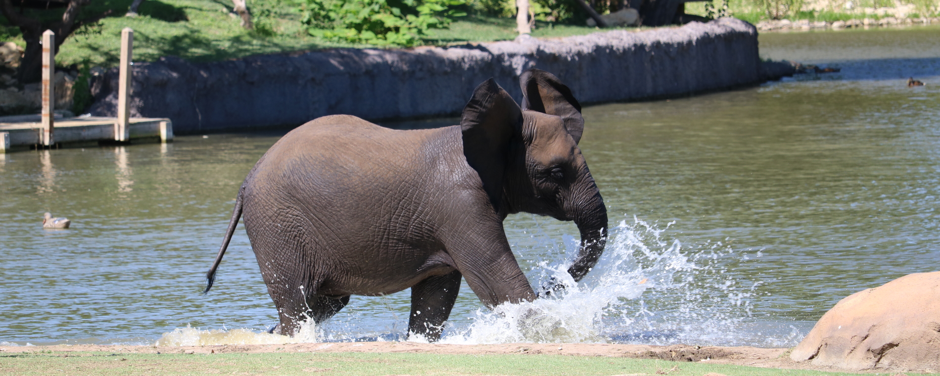 Sedgwick County Zoo