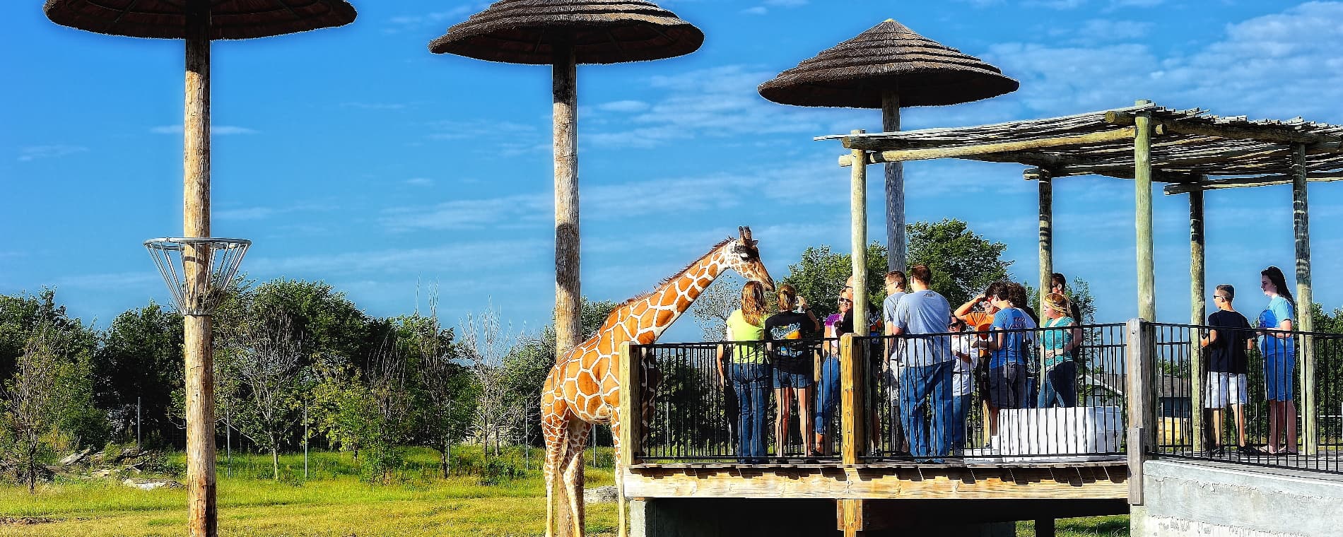 Tanganyika Wildlife Park Map Tanganyika Wildlife Park