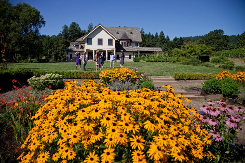 The Beacon Hill Cabin — Beacon Hill Winery & Vineyard