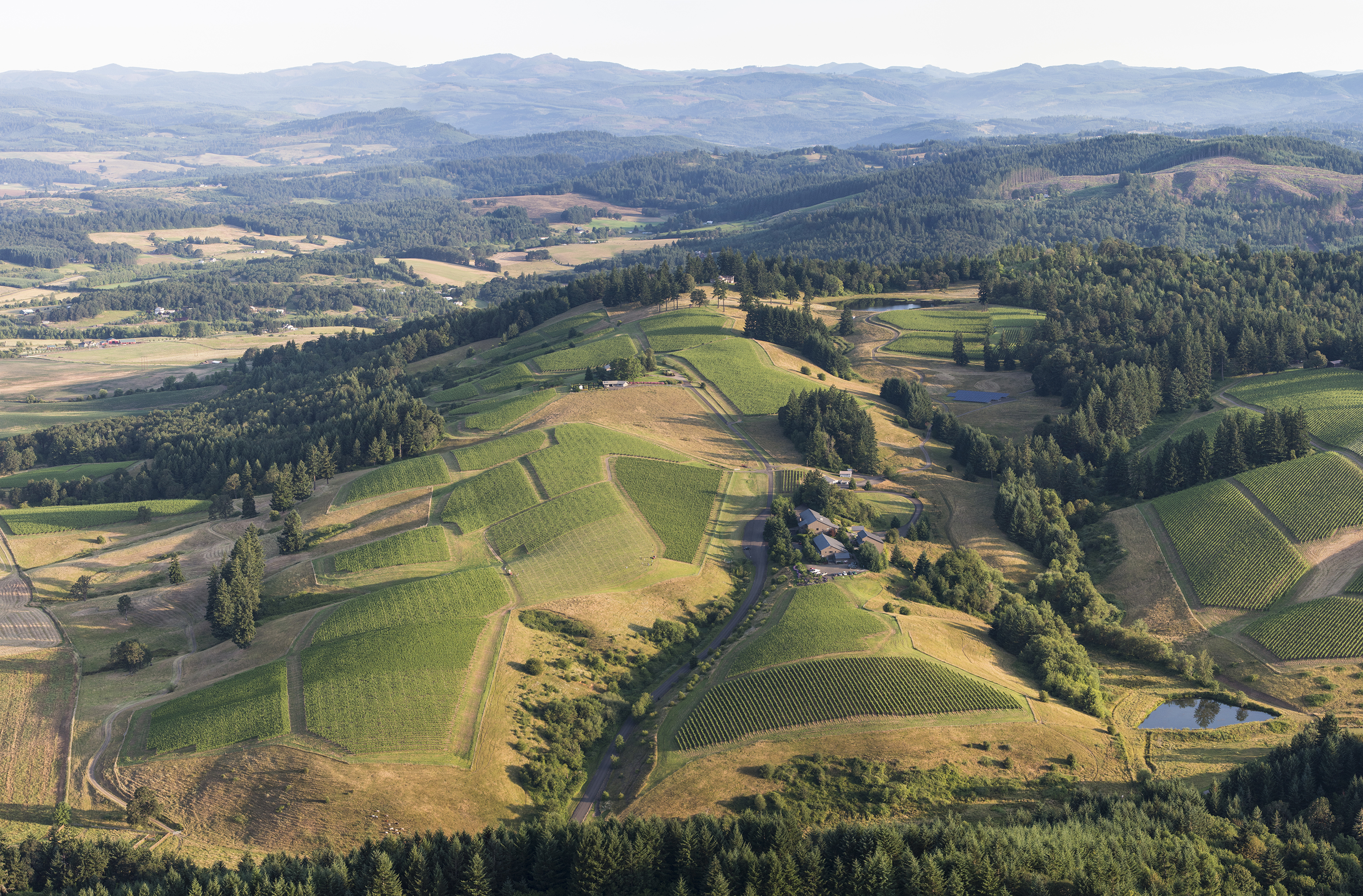WillaKenzie-