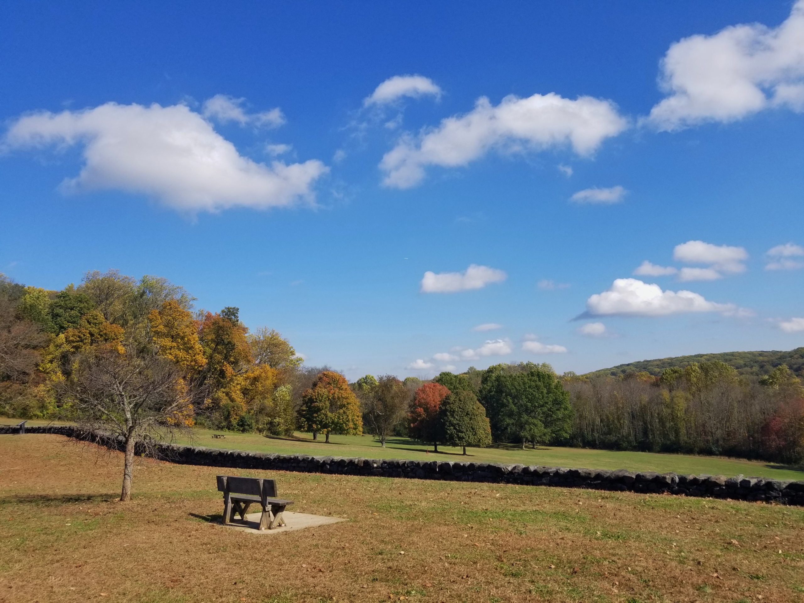 BCSP Fall 20171102 115536 01 scaled0 98f473f55056b3a 98f474bb 5056 b3a8 49f4c2df07b351f3