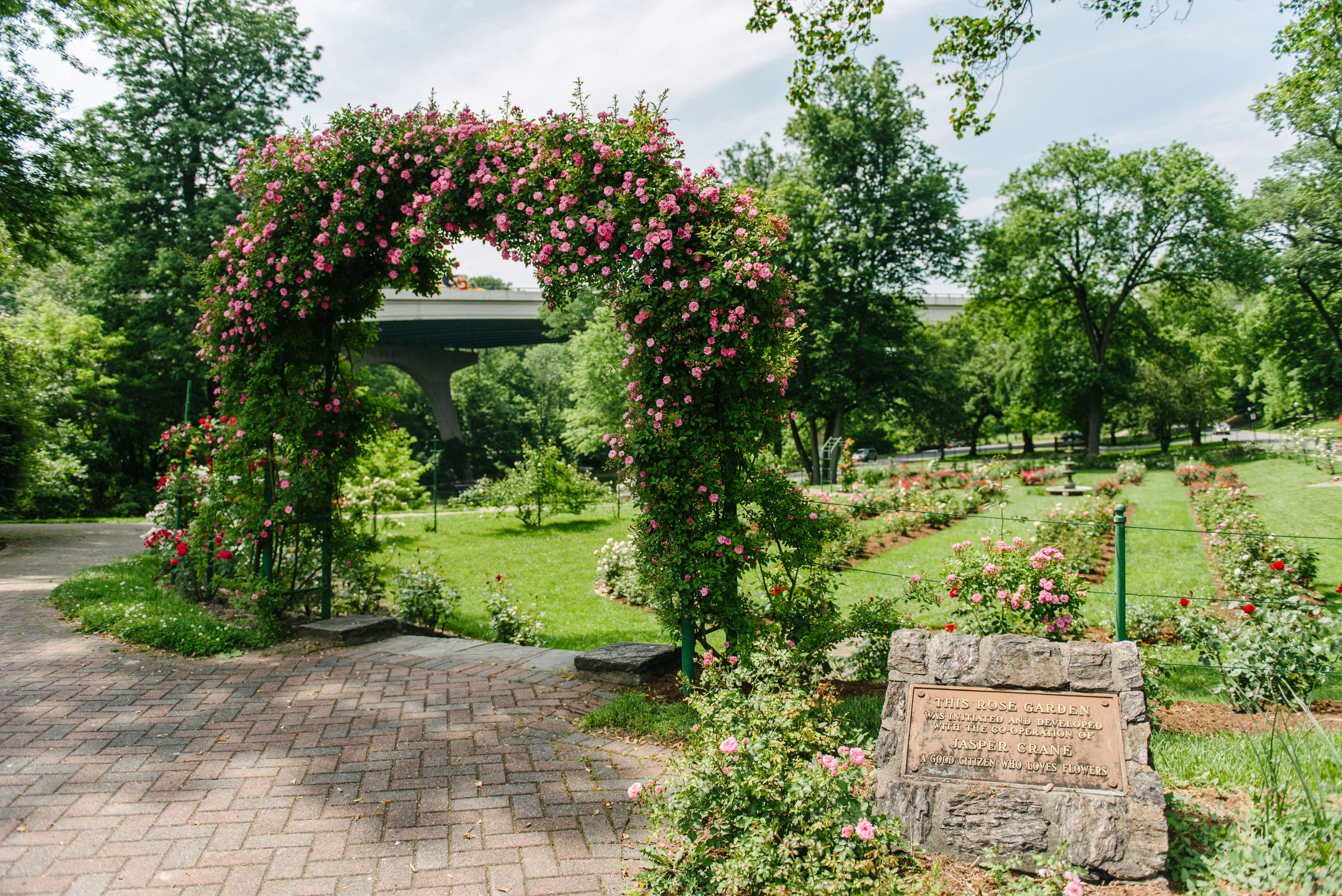 Jean-Pierre Cassigneul【楽園】 Yahoo!オークション - 【特価】 ≪ ジャン＝ピエール