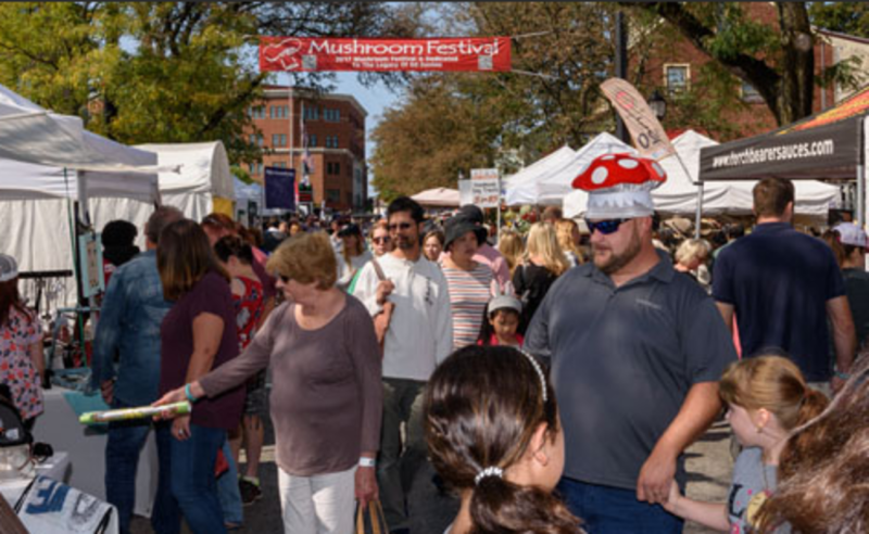 are dogs allowed at kennett mushroom festival