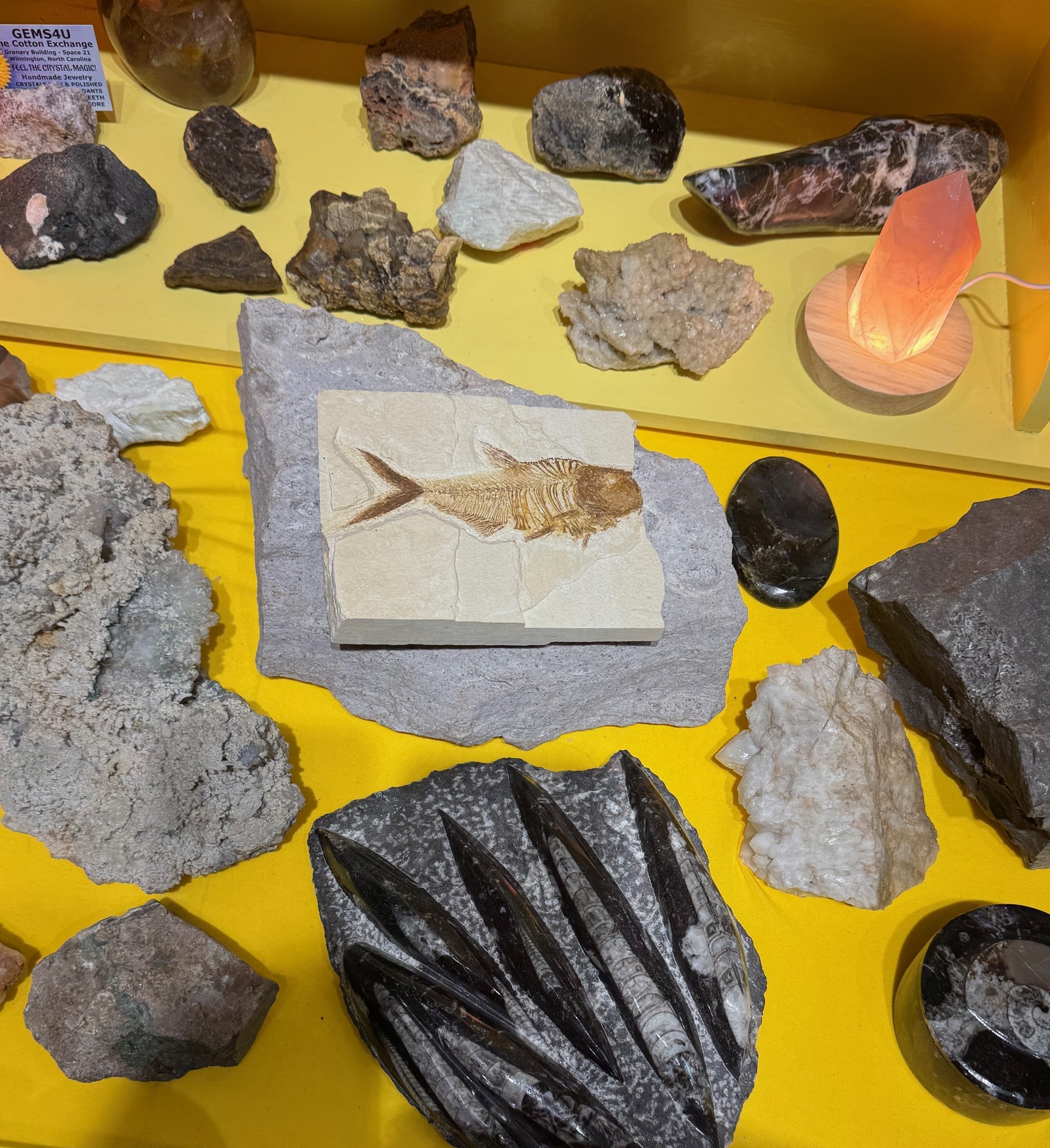 GEMS4U | Wilmington, NC 28401