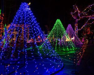 Christmas Magic: A Festival of Lights