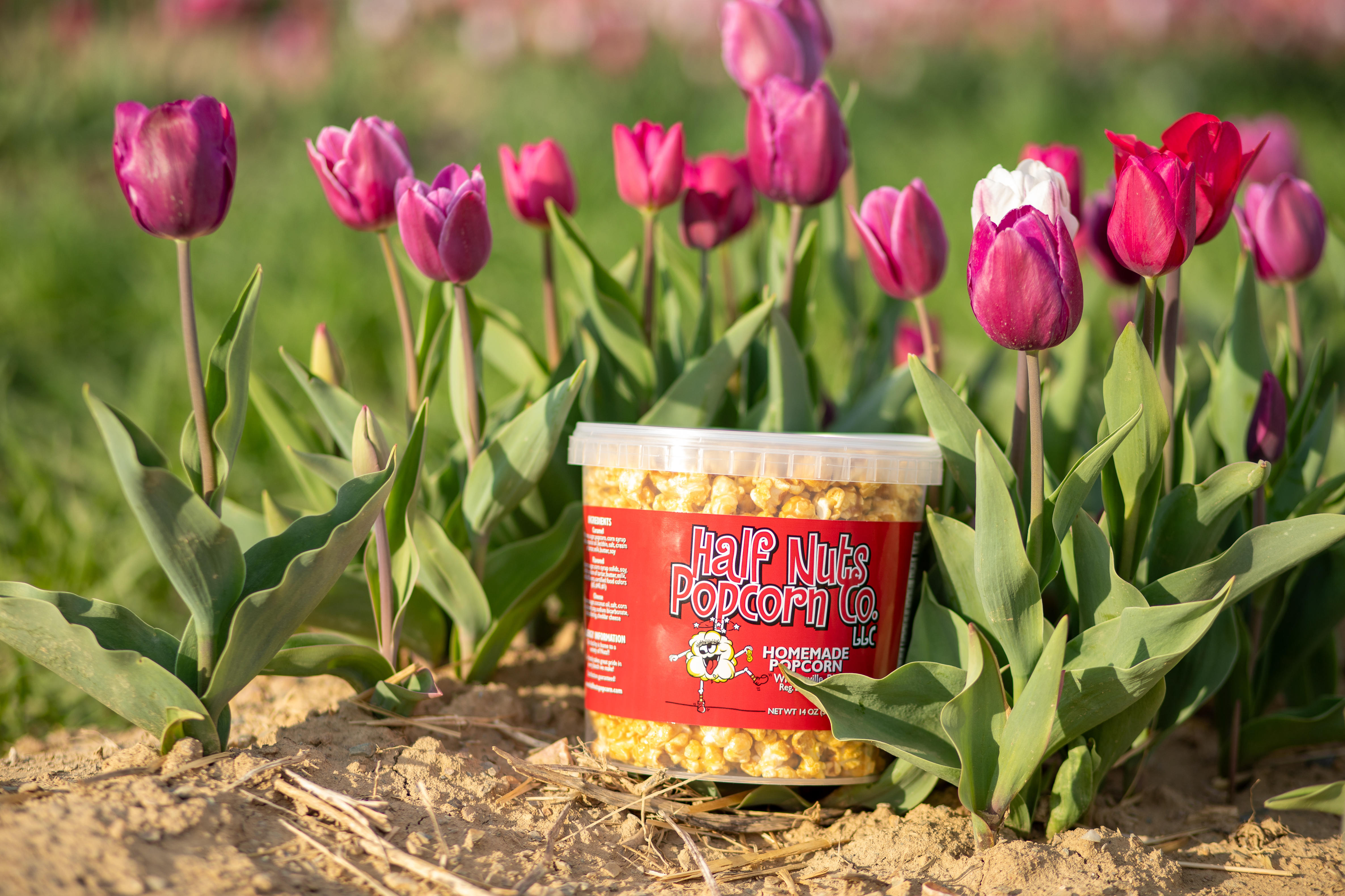 River Rock Provisions - Home of Half Nuts Popcorn