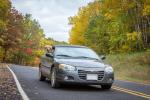 Fall Color Convertible with Dog
