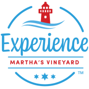 Experience MV logo