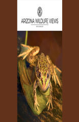 Arizona Wildlife Views - AZ Game & Fish