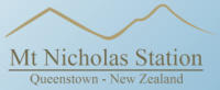 Mt Nicholas Station LOGO