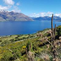 Lower Wye Creek Walking Track