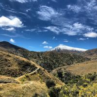 Sawpit Gully track