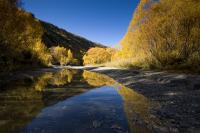 Arrowtown River Trail in Autumn