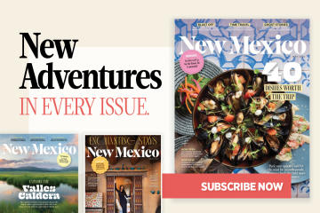 NMM Subscriptions