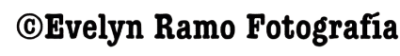 Evelyn Ramo