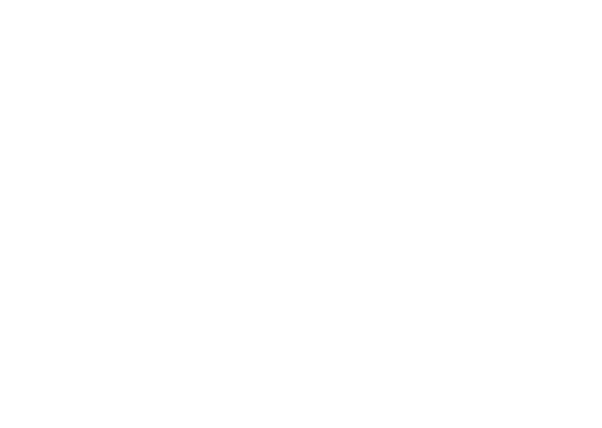Denver Sports Commission Logo
