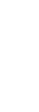 Setesdal Logo Hvit, grafik