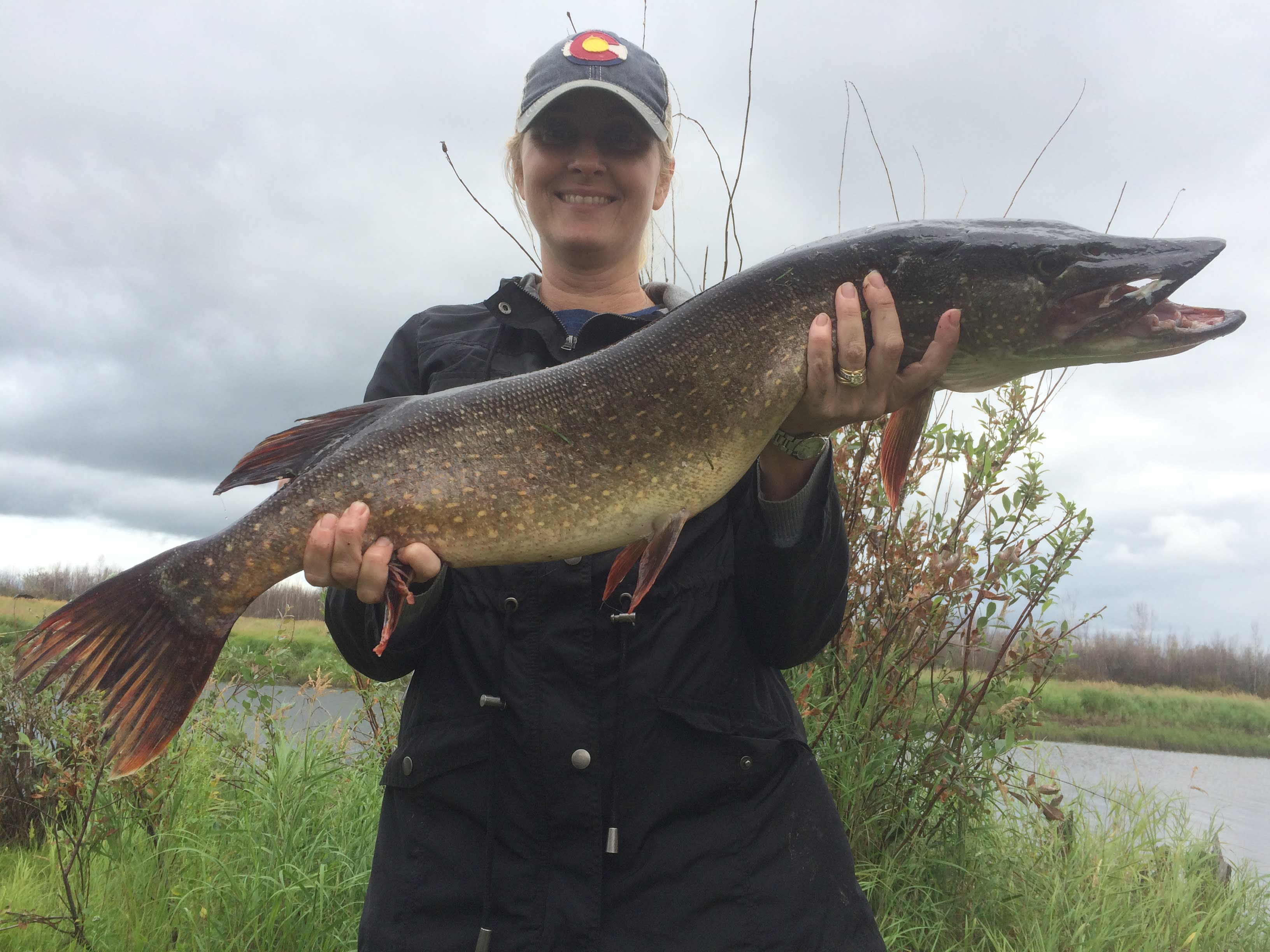 Midnight Sun Trophy Pike - Trophy Alaska Pike Fishing