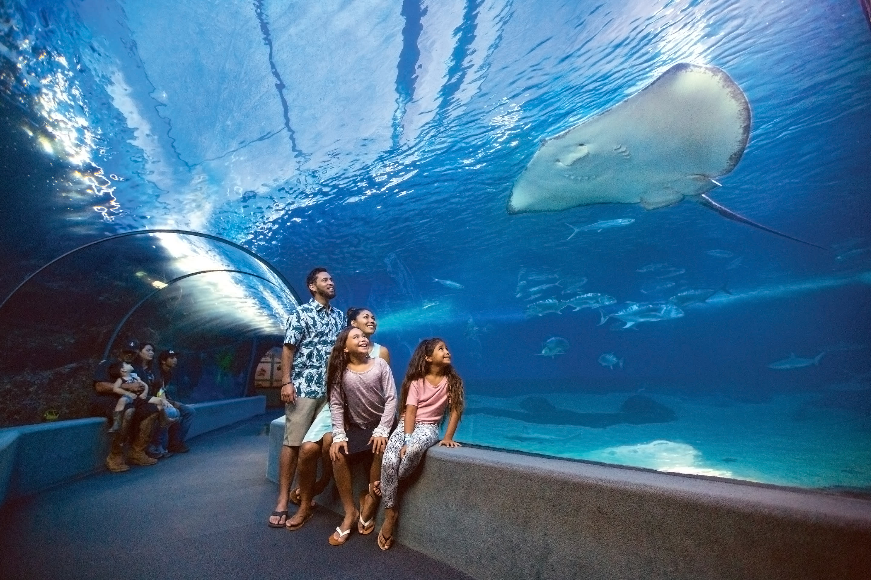 Maui Ocean Center, The Aquarium of Hawaii