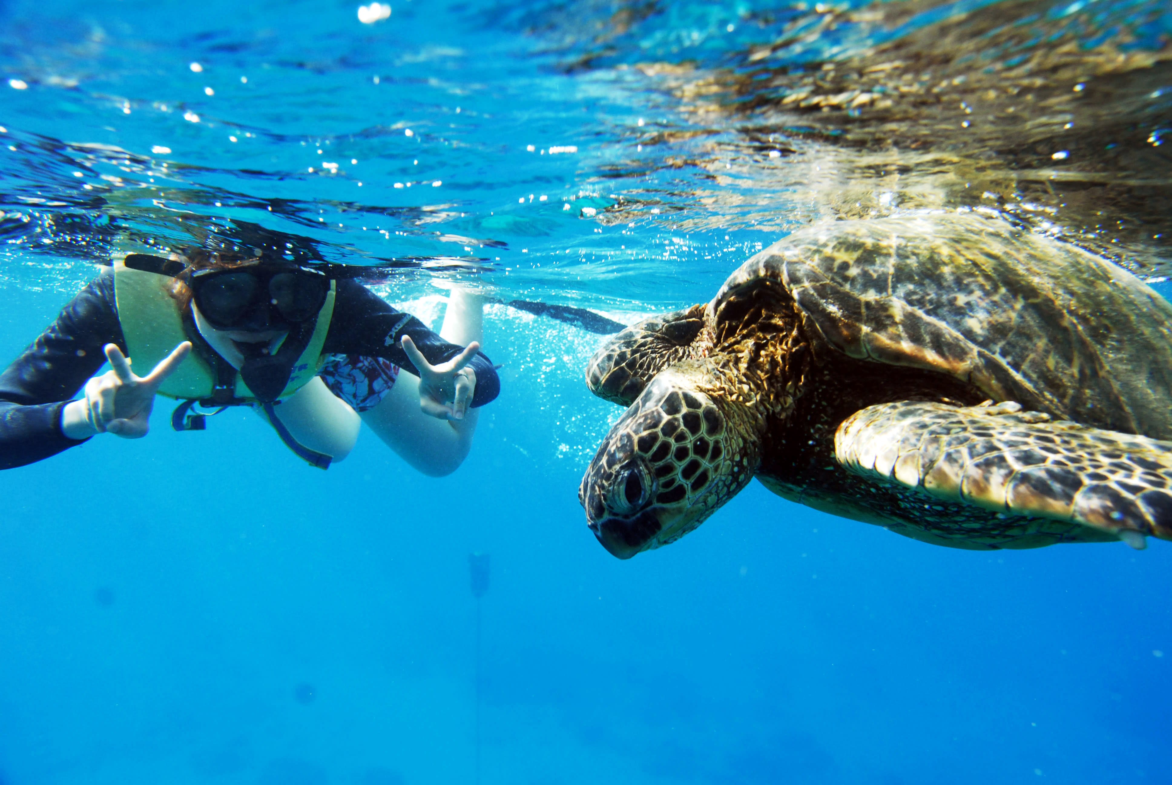 Ko Olina Ocean Adventures