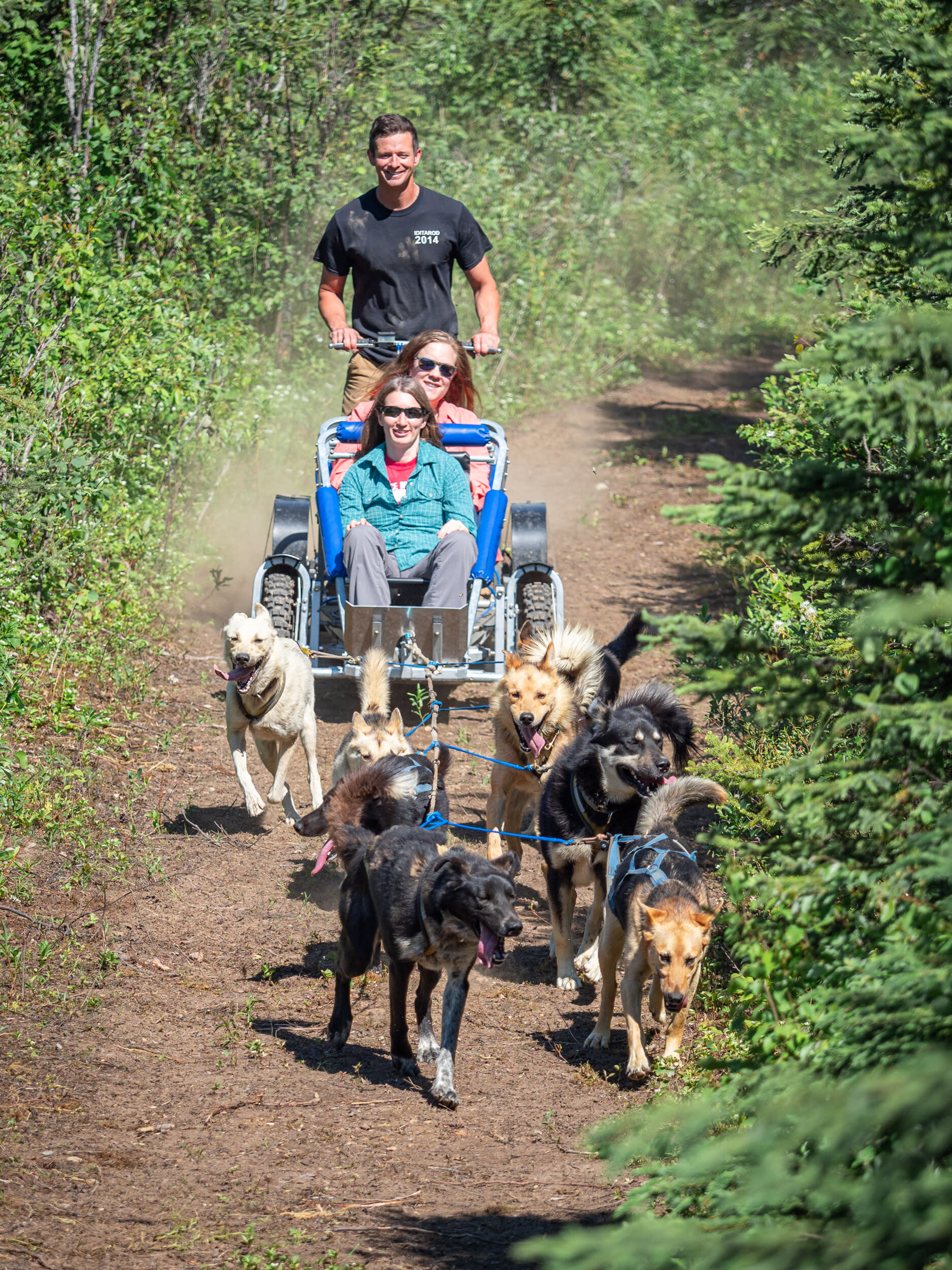 17th-Dog Crew — Alaskan Husky Adventures