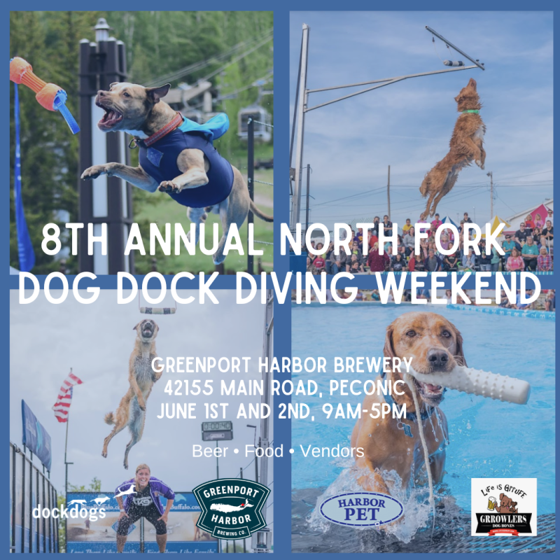 North Fork Dog Dock Diving Weekend Greenport, NY 11944