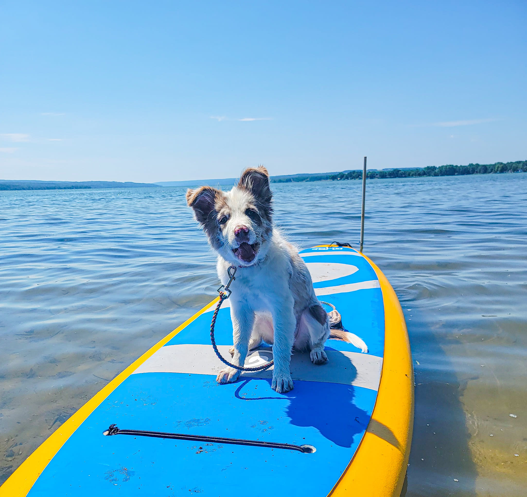 Owasco Paddles | Auburn, NY 13021