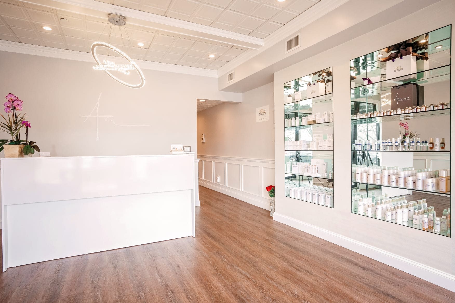 Alexandra Accardo Studio