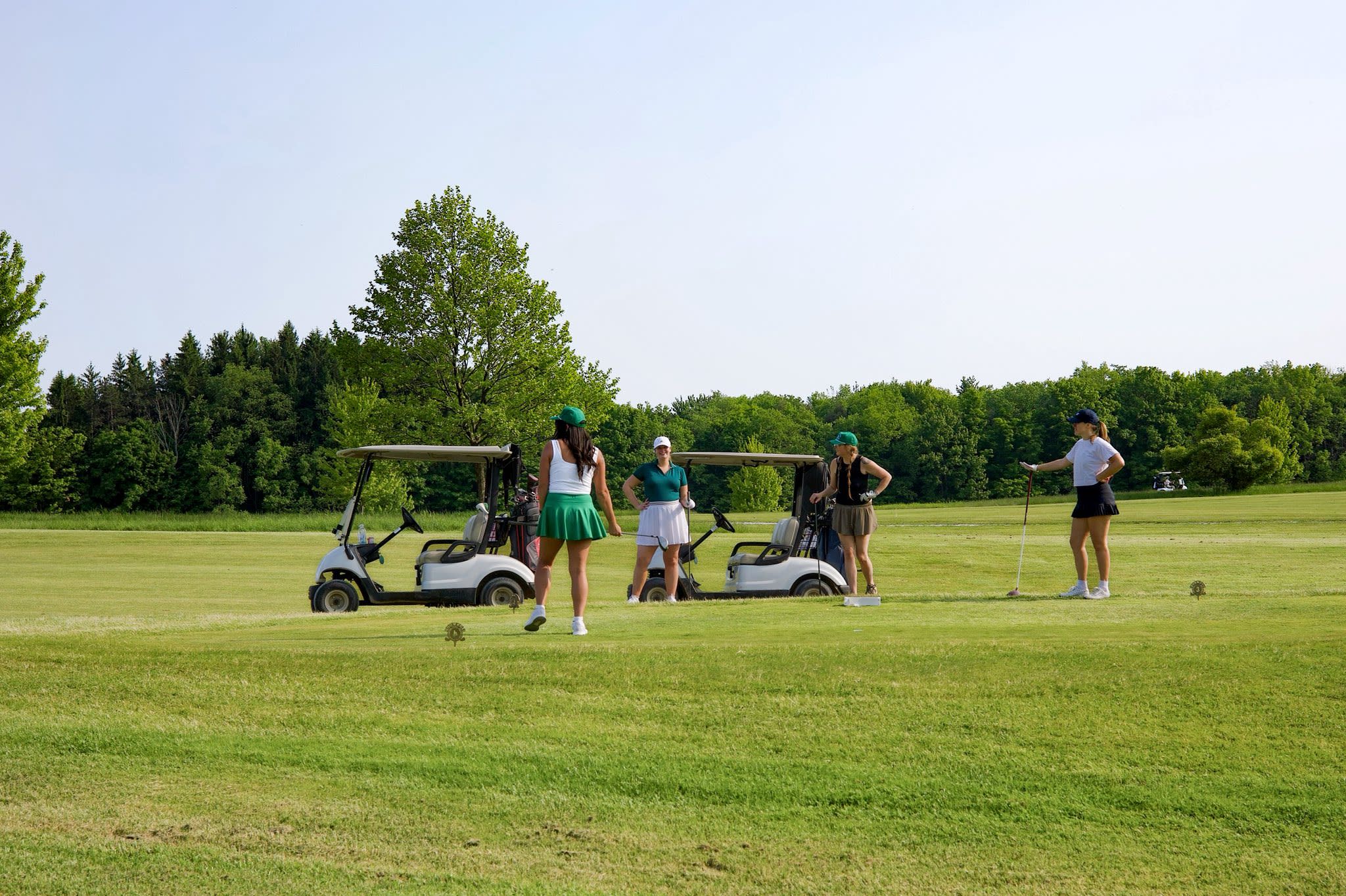 Ironwood Golf Course Cowlesville NY 14037