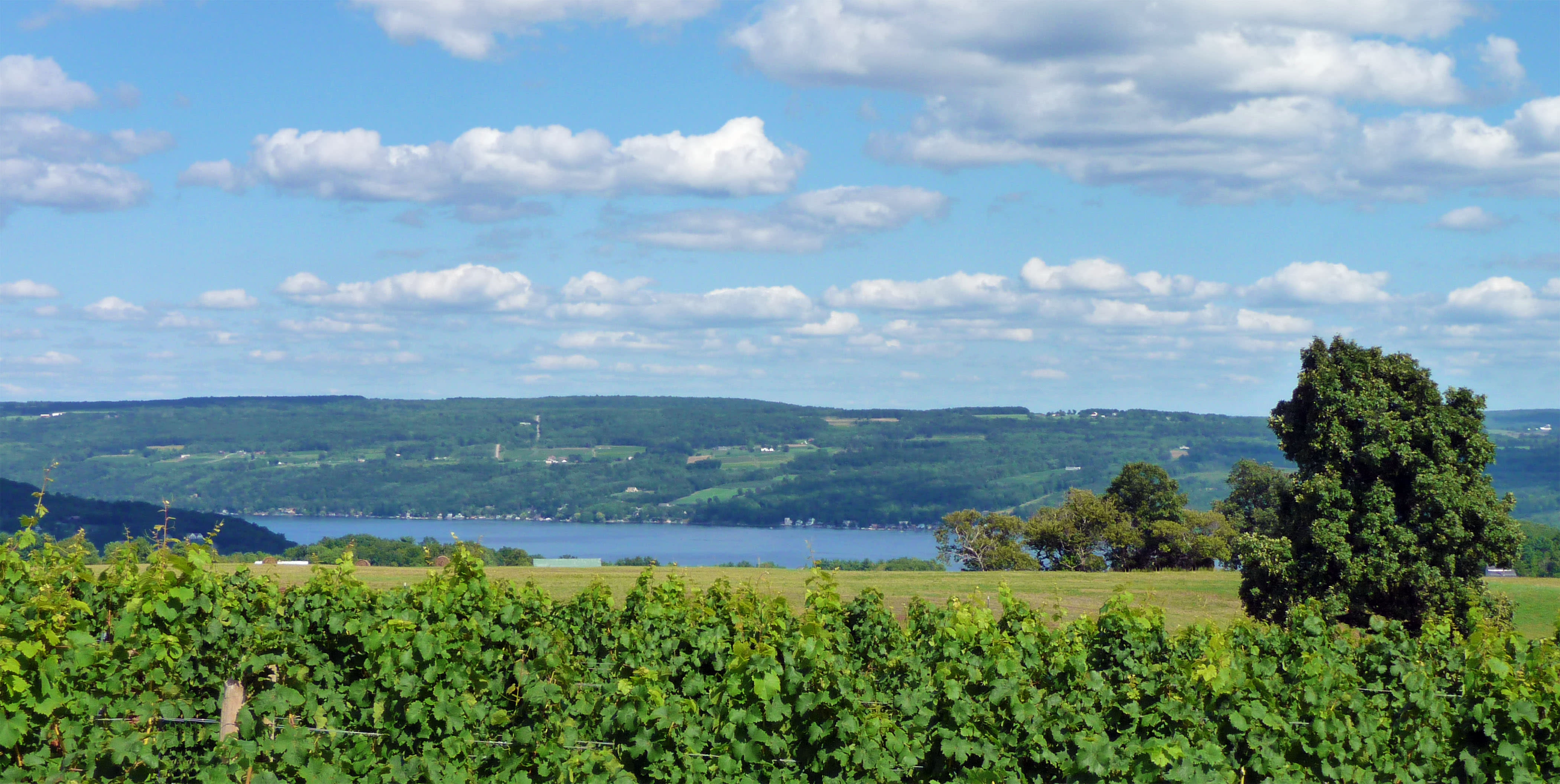 Azure Hill Winery, Inc. Hammondsport, NY 14840