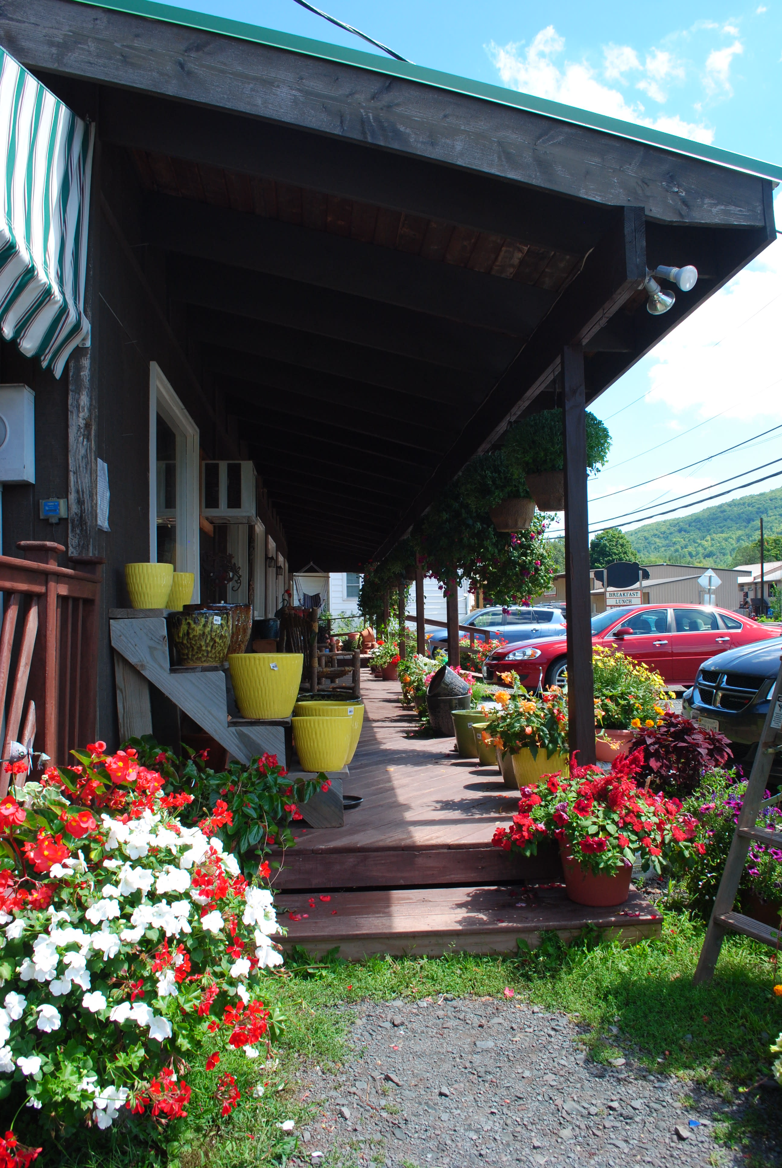 No Stress Chess  Catskill Mountain Country Store