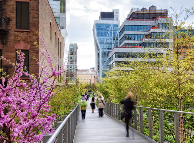 New York High Line Park Walking Tour