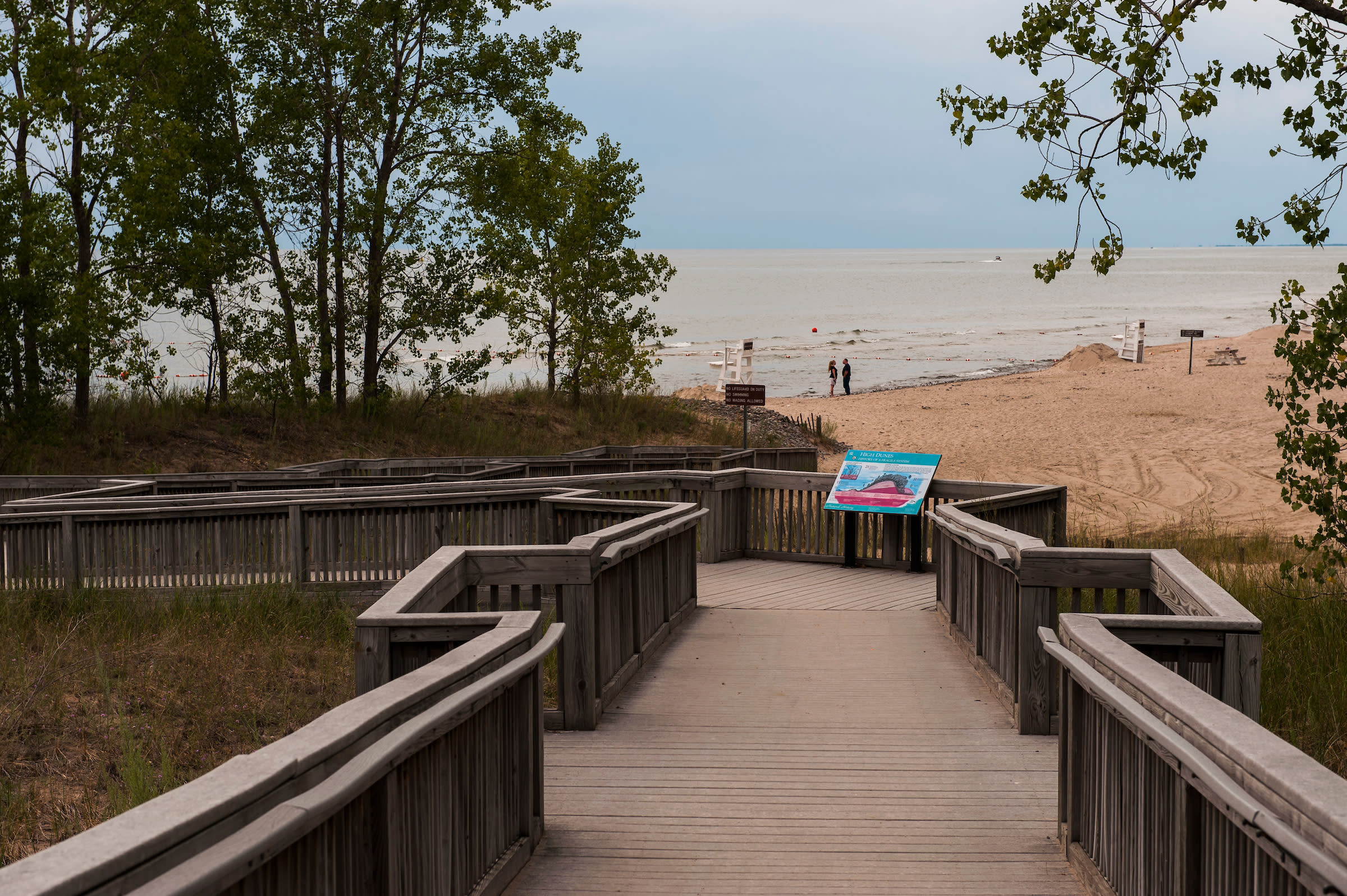 Sandy Beaches and Sandy Swings: The Best Version of Sandy