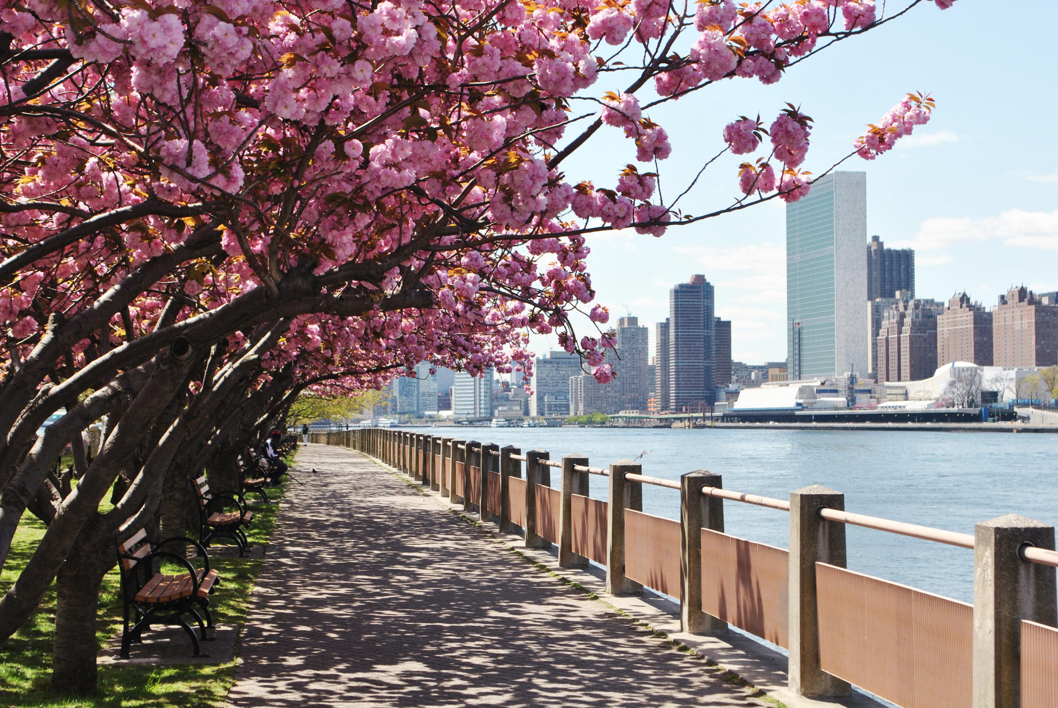 Roosevelt Island Roosevelt Island, NY 10044