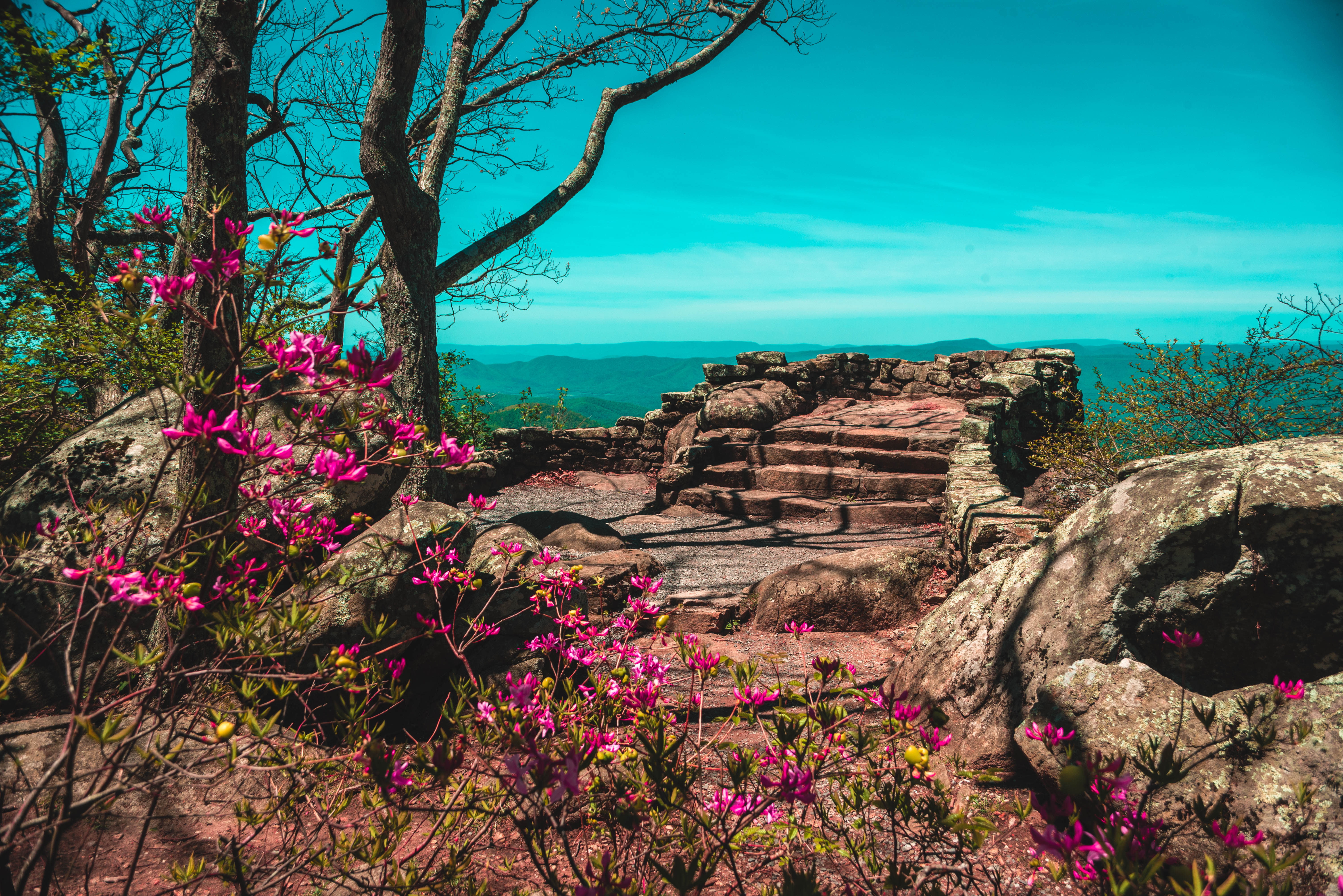 フィッシングジャケット●BLUE RIDGE Blue Ridge Parkway - Hiking | Virginia's Blue Ridge Region, VA