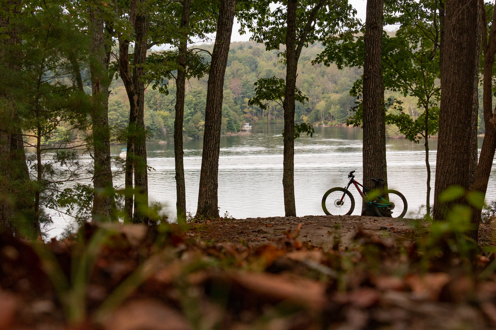 Campsite and Lake Background (Extended) Pack