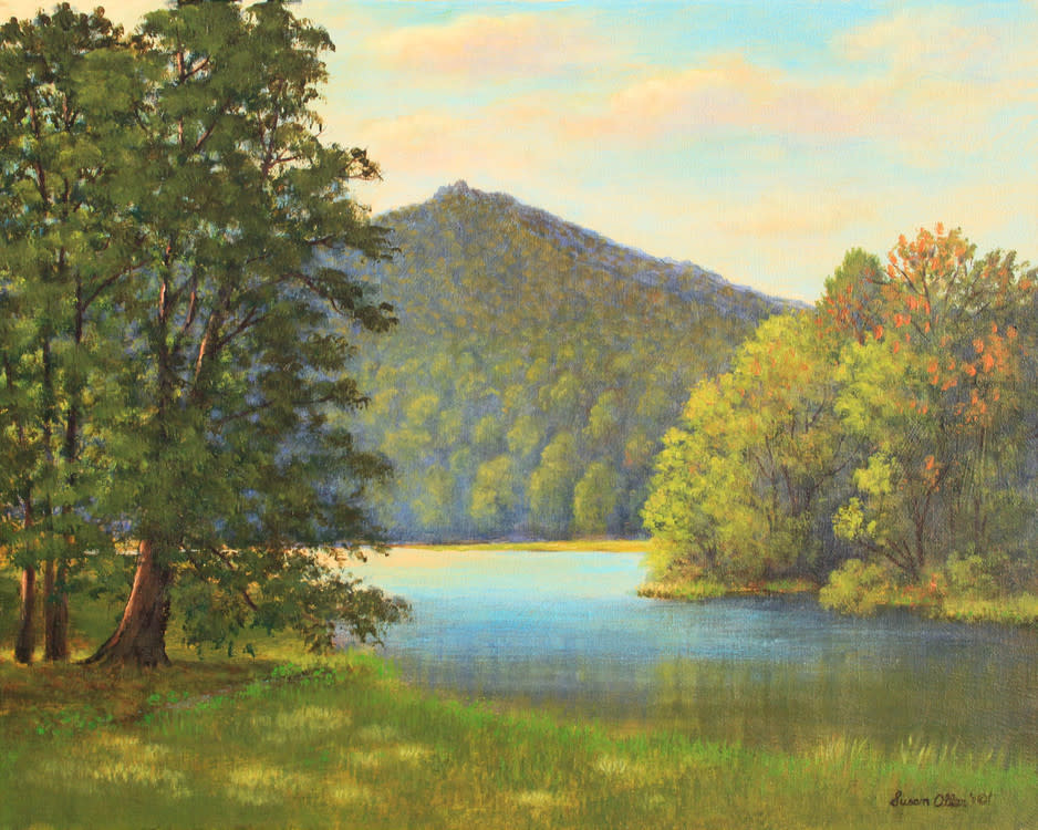 Susan Oller | Goodview, VA