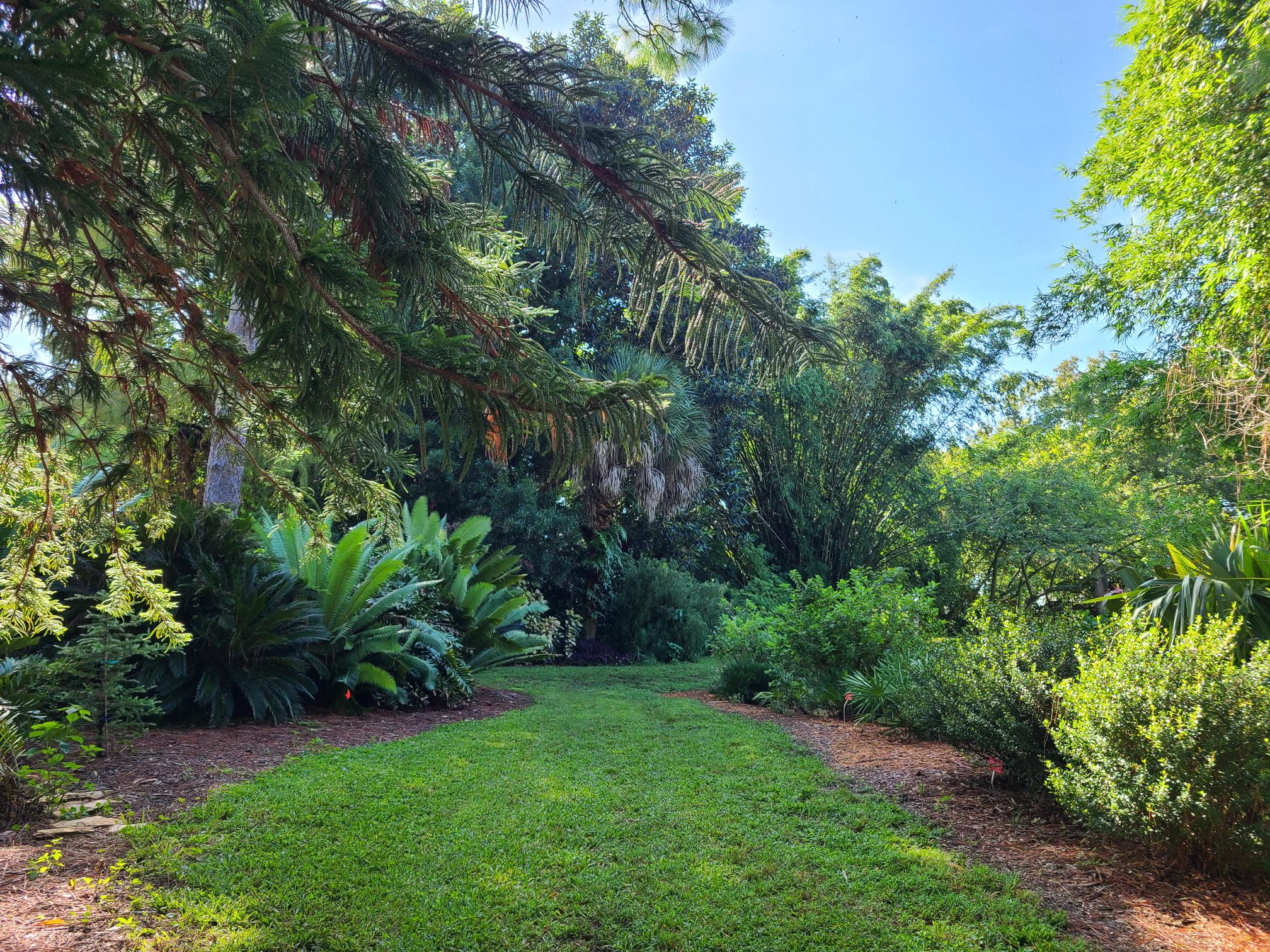 South Florida Botanical Gardens