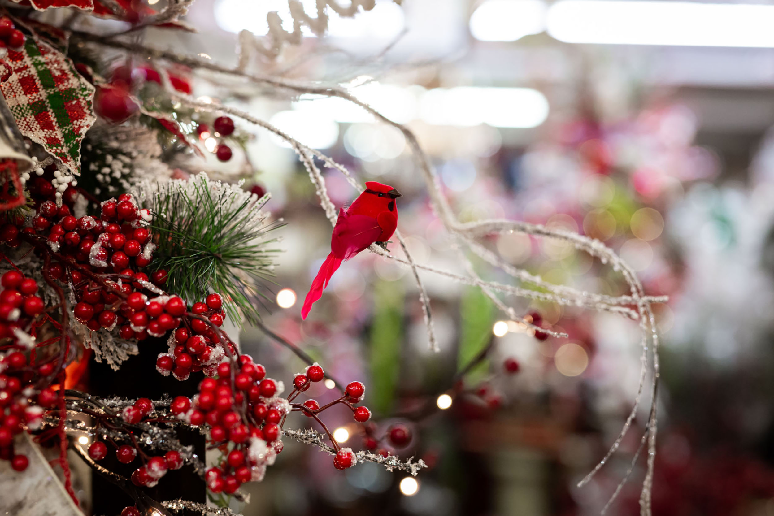 Photo of decorations at Decorator's Warehouse, close up of a cardinal