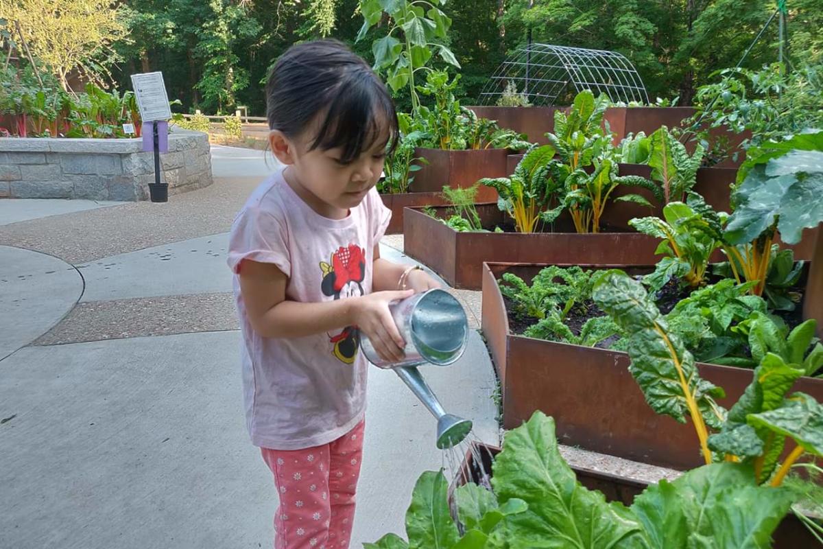 child watering plants at children's garden