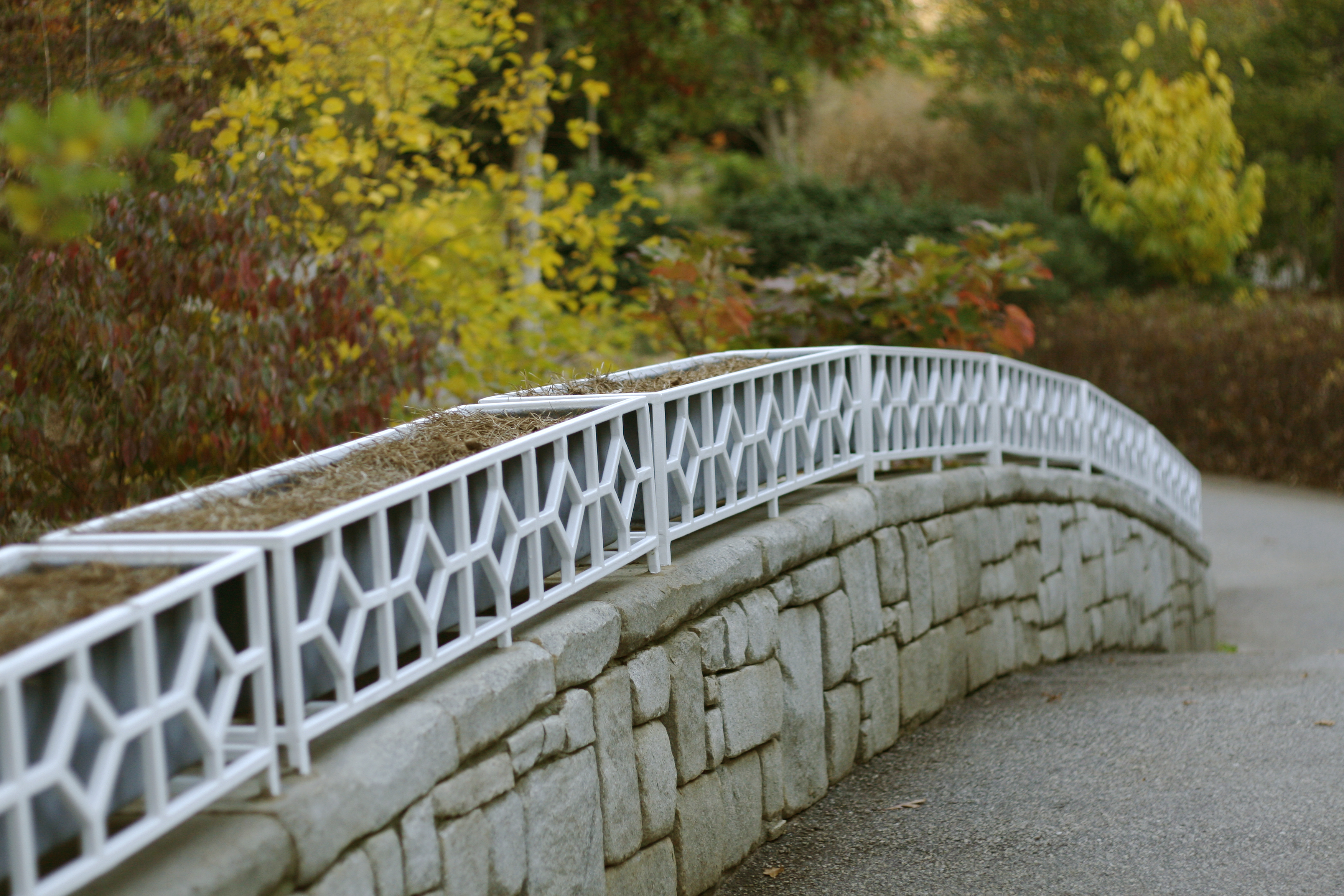 Bridge at the State Botanical Garden of Georgia