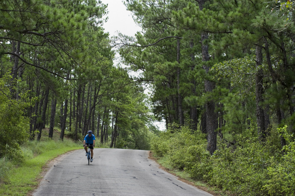 Biking through Lost Pines
