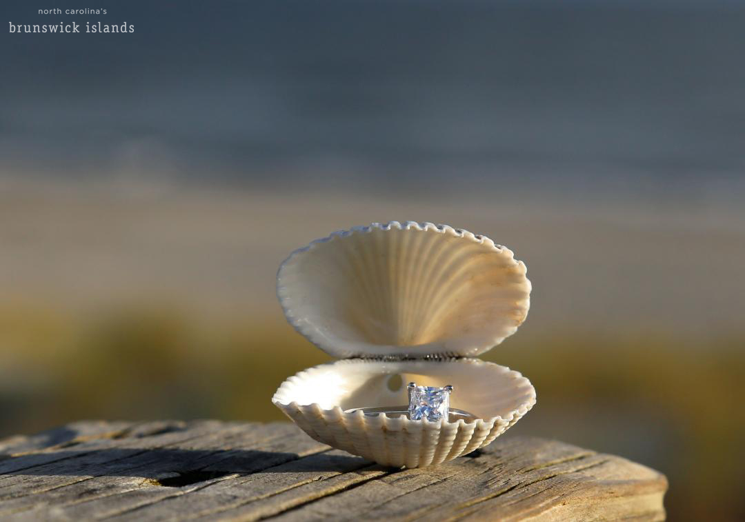 Engagement ring in shell in North Carolina's Brunswick Islands