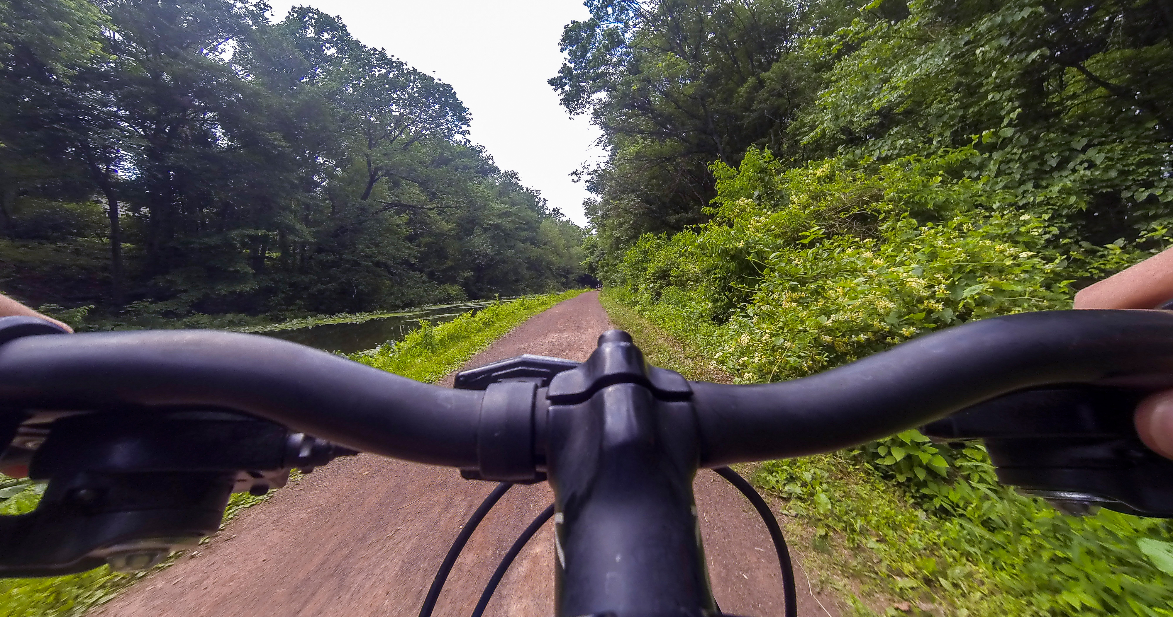 Close-up of handle bars