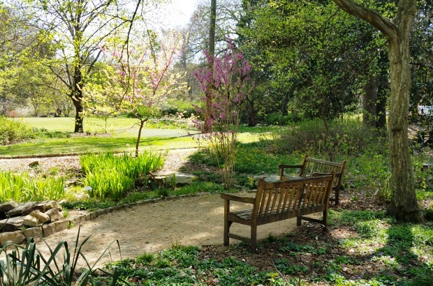 Coker Arboretum