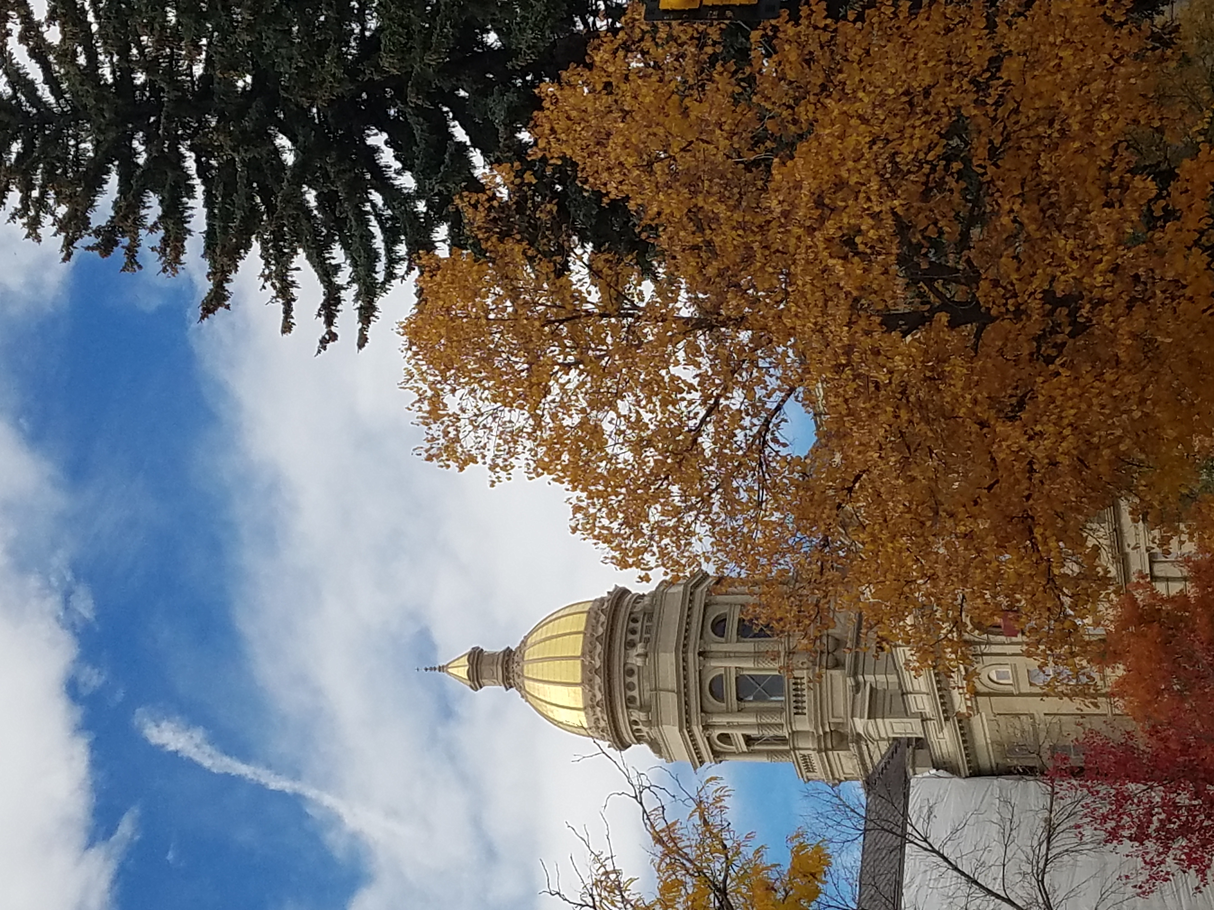 Wyoming State Capitol with fall foliage in front of blue skies with brilliant white clouds