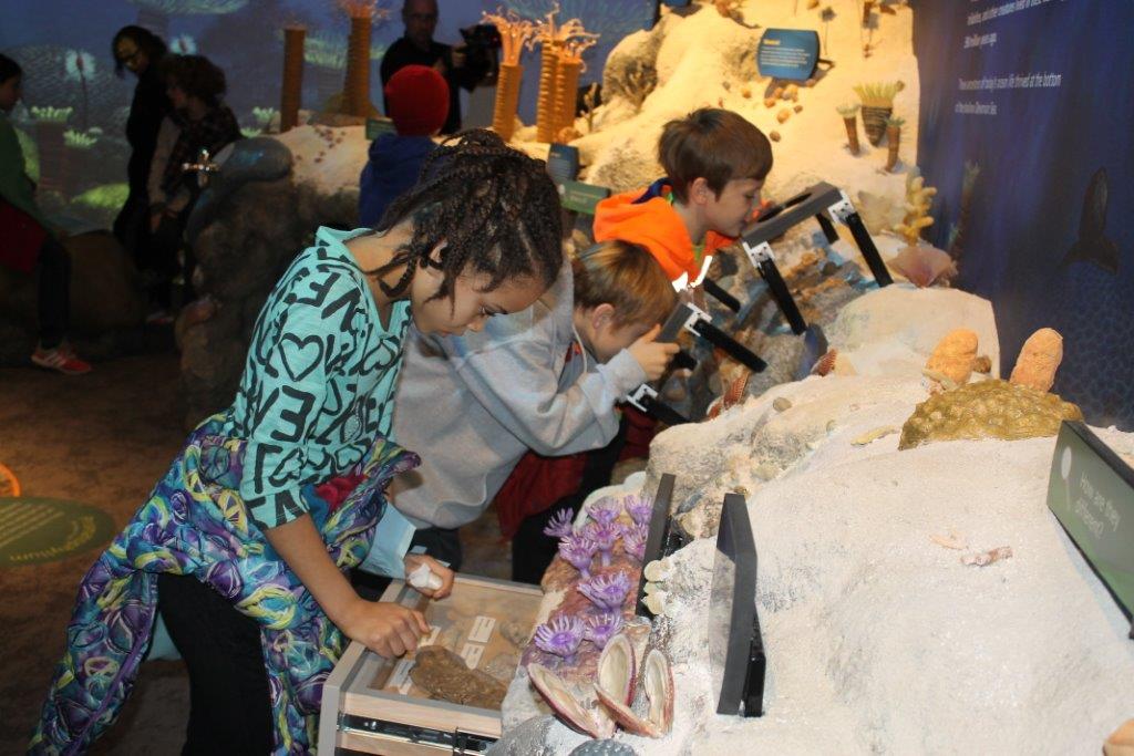 Children looking at fossils at the Falls of the Ohio Interpretive Center