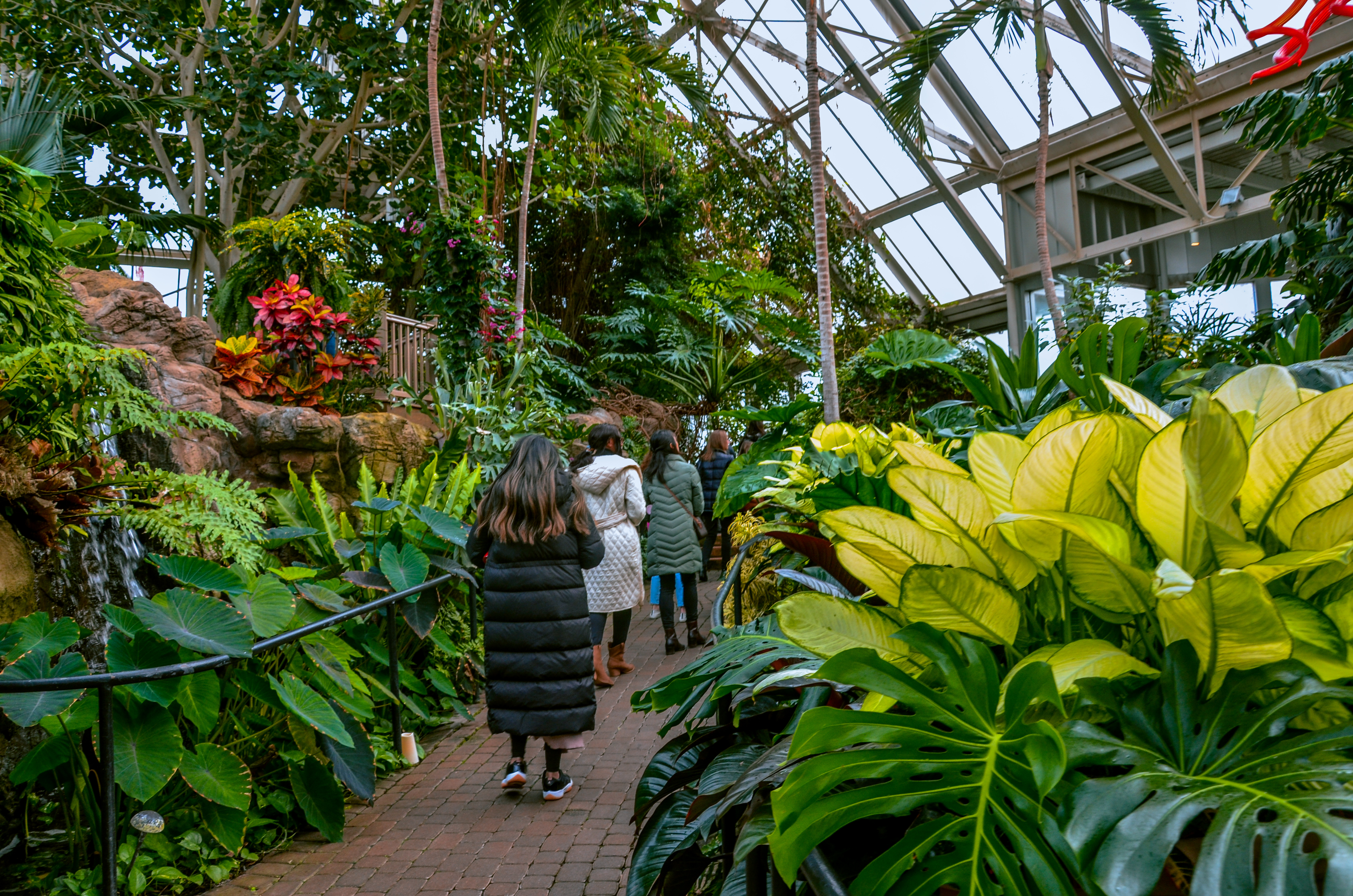 Group walking through foliage-filled glasshouse