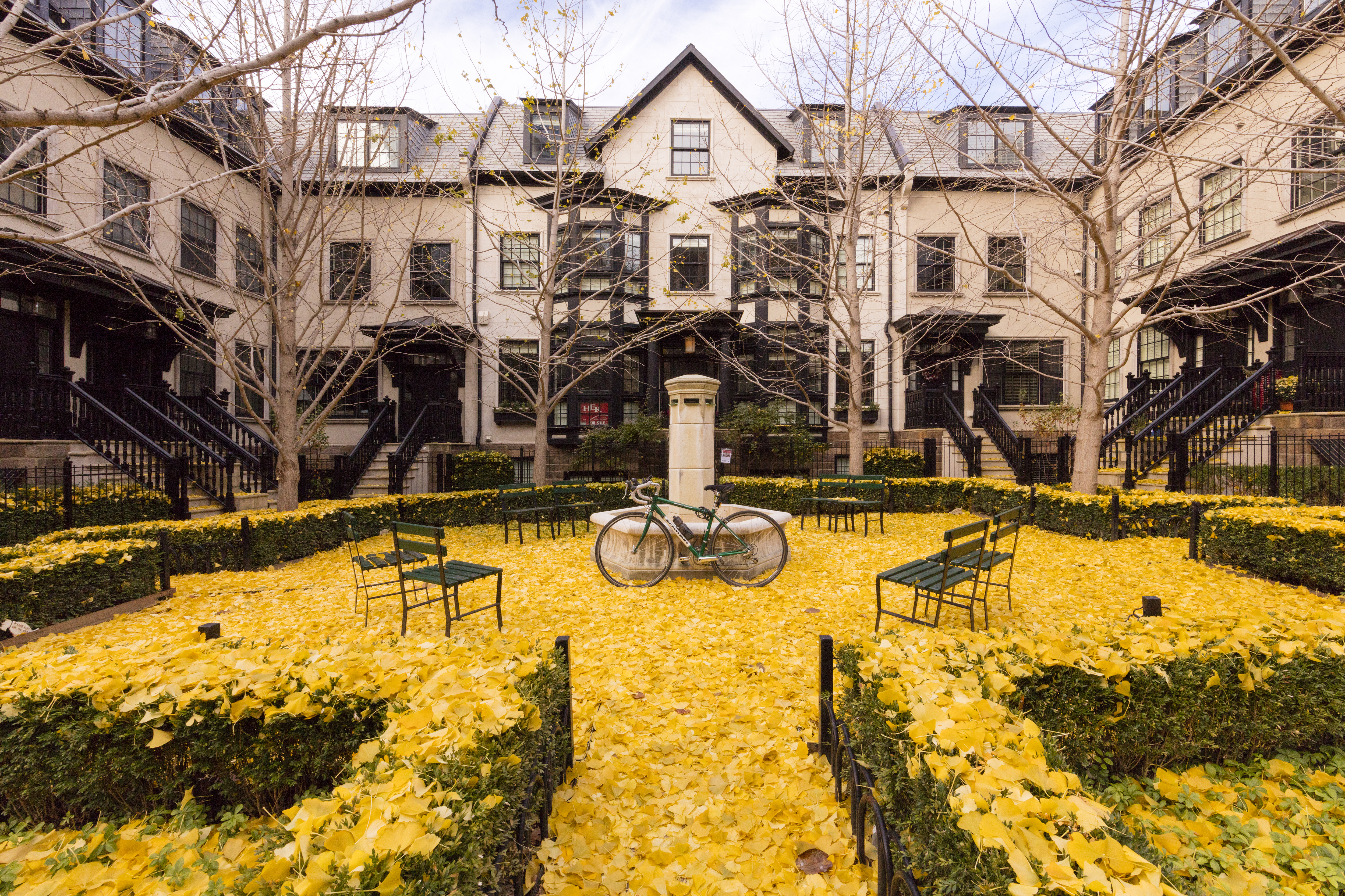 Downtown Columbus covered in yellow leaves