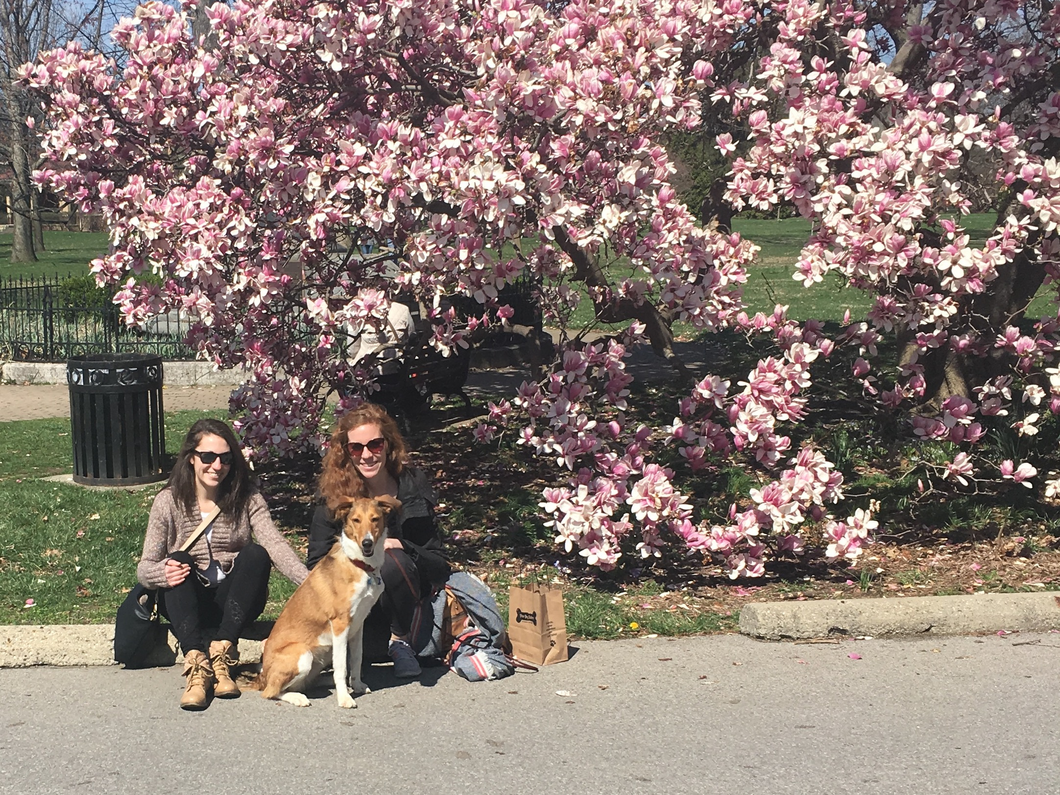 EC staffer Katie Suty and sister with dog Gracie at Goodale Park